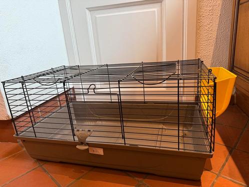 knaagdierenkooi, Dieren en Toebehoren, Knaagdieren en Konijnen | Hokken en Kooien, Kooi, Ophalen