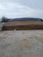 kuilmais, Zakelijke goederen, Landbouw | Veevoer, Ophalen of Verzenden