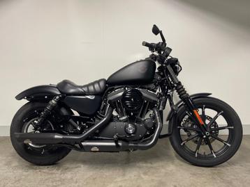 Harley-Davidson SPORTSTER XL883N IRON Met elektronisch regel, Motoren, Motoren | Harley-Davidson, 883 cc, Meer dan 35 kW, Overig