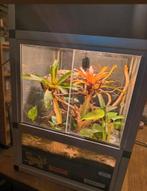 Paludarium Dutch Rana 45x45x75, Enlèvement ou Envoi, Comme neuf, Terrarium ou Paludarium