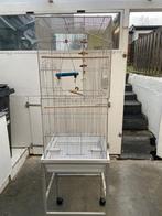 Volledig uitgeruste papegaaienkooi/grote parkiet, Dieren en Toebehoren, Ophalen, Zo goed als nieuw, Metaal, Vogelkooi