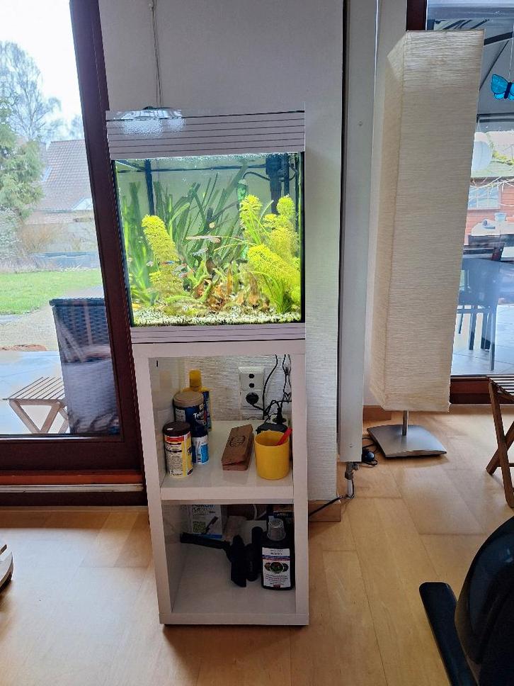 Askoll aquarium in het wit te koop, Dieren en Toebehoren, Vissen | Aquaria en Toebehoren, Gebruikt, Gevuld zoetwateraquarium, Ophalen