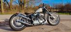 Harley Davidson 1975, Motoren, Particulier