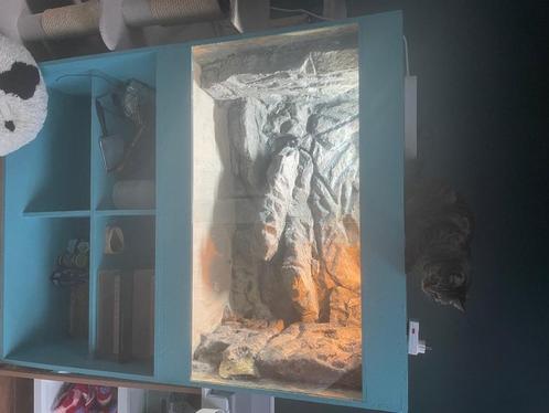 Terrarium baardagaam, Dieren en Toebehoren, Reptielen en Amfibieën | Toebehoren, Gebruikt, Terrarium of Paludarium, Ophalen of Verzenden