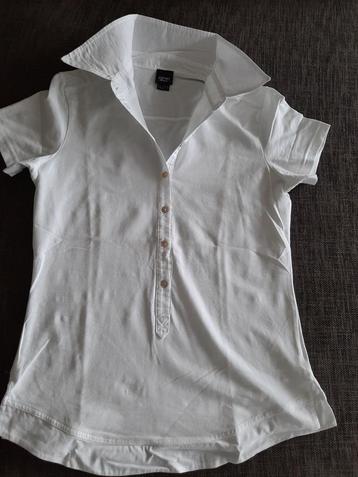 POLO ESPRIT beschikbaar voor biedingen