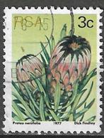 Zuid-Afrika 1977 - Yvert 418 - De blauwe suikerbos (ST), Postzegels en Munten, Postzegels | Afrika, Zuid-Afrika, Verzenden, Gestempeld