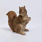 🐿 Écureuil, Collections, Collections Animaux, Enlèvement ou Envoi