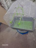 vogel kooi, Dieren en Toebehoren