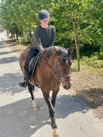 Halve stal aangeboden
