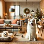 Vacances pour chien, Ophalen