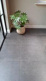110 m² Keramische tegels 60 x 60, Doe-het-zelf en Bouw, Ophalen, Nieuw