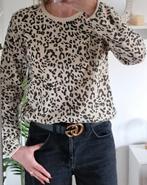 H&M trui maat M Leopard, Kleding | Dames, Blouses en Tunieken, Ophalen of Verzenden, Maat 38/40 (M)