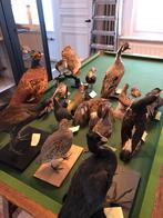 ANTIEKE TAXIDERMIE TAXIDERMY OPGEZET VOGELS COLLECTIE VEEL, Verzamelen, Dierenverzamelingen, Ophalen of Verzenden, Gebruikt, Vogel