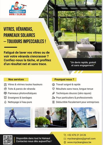 Laveur de vitres professionnel. beschikbaar voor biedingen