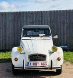 citroën, Zwart, Zwart, Bedrijf, Te koop