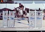 Getalenteerde 9jarige sportpony, niet voor beginnende ruiter, Dieren en Toebehoren, Merrie, Gechipt, Springpony, L