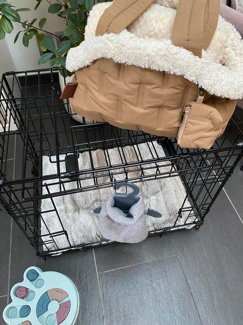 Puppyset: bench, kussen, draagtas, truitje, Dieren en Toebehoren, Hondenbenches, Zo goed als nieuw, Ophalen