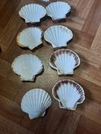 set van 8 oven schelpen, Ophalen of Verzenden