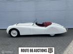 Jaguar XK120 OTS 1954 | Route 66 auctions, Cabriolet, Beige, Bedrijf, Handgeschakeld