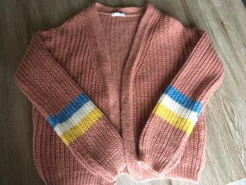 Vestje wol beschikbaar voor biedingen