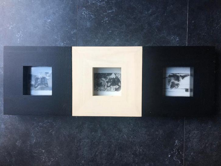 3 kaders met foto katjes 24x24x4, Dieren en Toebehoren, Overige Dieren, Februari