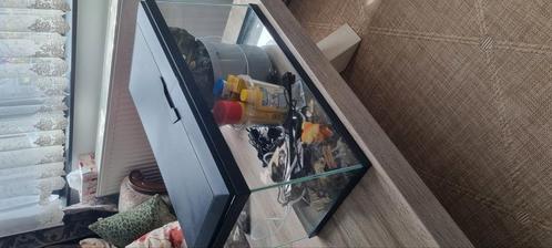 Aquarium, Dieren en Toebehoren, Vissen | Aquaria en Toebehoren, Zo goed als nieuw, Ophalen of Verzenden