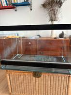 Terrarium L80 B50 H50, Ophalen, Gebruikt, Terrarium of Paludarium