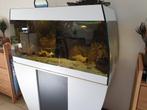Eheim scubabay, Dieren en Toebehoren, Vissen | Aquaria en Toebehoren, Ophalen, Zo goed als nieuw, Gevuld zoetwateraquarium