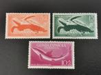 Guinea Espanola 1954 - onderwaterfauna, schildpad, haai **, Postzegels en Munten, Postzegels | Afrika, Guinee, Ophalen of Verzenden