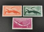 Guinea Espanola 1954 - onderwaterfauna, schildpad, haai **, Postzegels en Munten, Postzegels | Afrika, Ophalen of Verzenden, Guinee