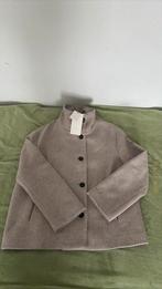 jasje van Zara, Kleding | Dames, Jasjes, Kostuums en Pakken, Nieuw, Ophalen of Verzenden, Jasje, Maat 36 (S)