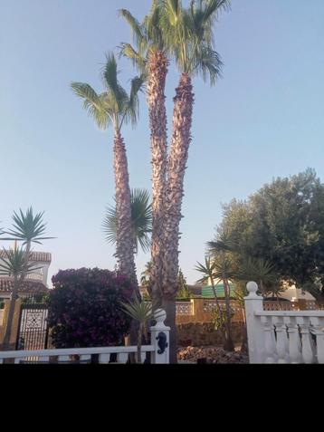 Villa sud de l Espagne, Piscine, Mer, Ville