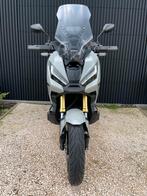 Honda Xadv Nardo gris 2023, Motos, Motos | Honda, 12 à 35 kW, Particulier, 745 cm³, 2 cylindres