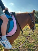 Doodbrave Kinderpony, Dieren en Toebehoren, Pony's