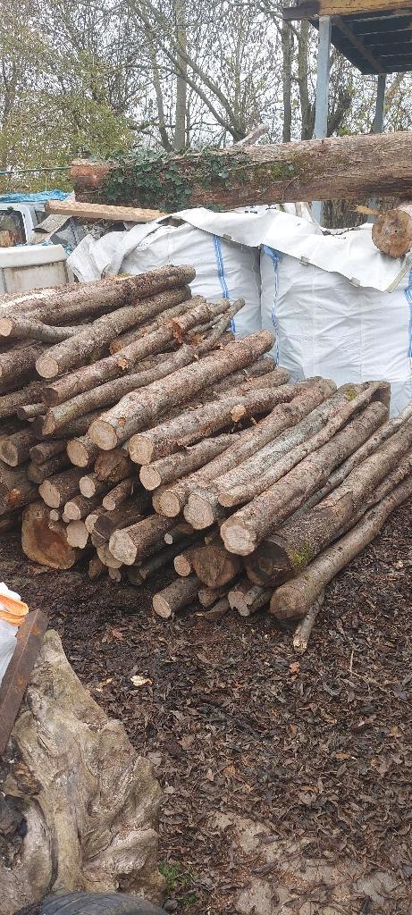 bois de chauffage, Jardin & Terrasse, Bois de chauffage, Bûches, Frêne, 3 à 6 m³, Enlèvement
