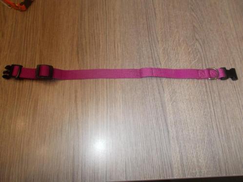 A -  Collier fuchsia Ferplast réglable avec crochet à laisse, Animaux & Accessoires, Accessoires pour chiens, Comme neuf, Envoi