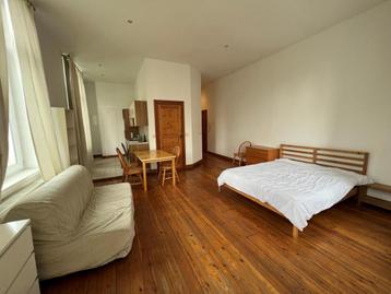 Studio à louer à Bruxelles, 1 chambre, 45 m², Studio, 1 kamers