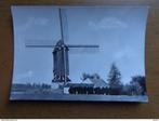 Postkaart Zingem, Molen 't Dal, Verzamelen, Ophalen of Verzenden, Ongelopen, Oost-Vlaanderen