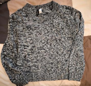 Trui van H&M in blauwtinten maat M, Kleding | Dames, Ophalen of Verzenden, Gedragen