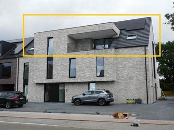 Appartement te huur in Helchteren, 4 slpks beschikbaar voor biedingen