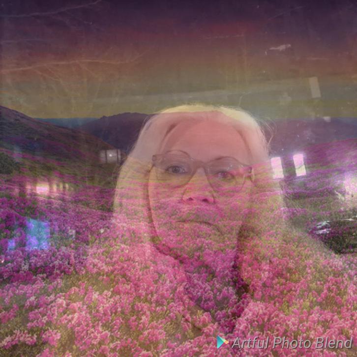 Huis te huur, Immo, Maisons à louer, Malines, Maison individuelle, En direct du propriétaire, A++