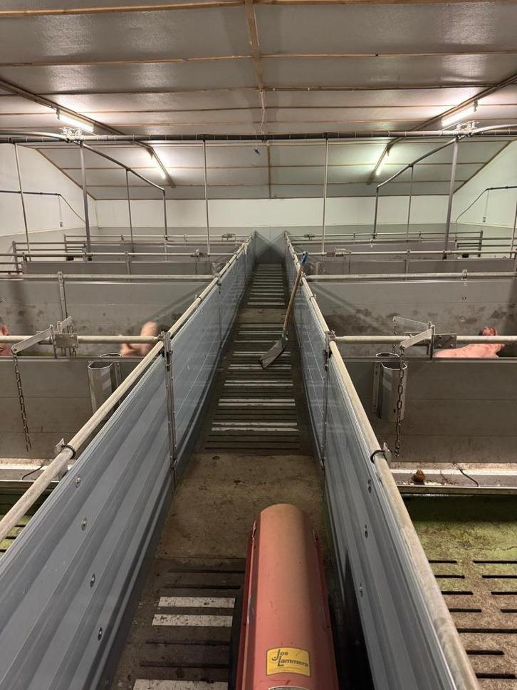 Kunststof hokinrichting [653], Dieren en Toebehoren, Stalling en Weidegang