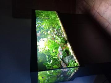 Aquarium beschikbaar voor biedingen