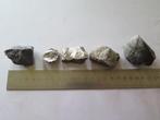 stenen en fossiel, Verzamelen, Mineralen en Fossielen, Ophalen of Verzenden, Fossiel