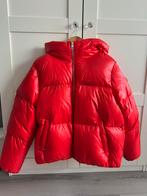 Tommy Hilfiger jas, Enlèvement ou Envoi, Porté, Taille 42/44 (L), Rouge