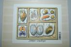 Belgique 2005 Feuillet Coquillages MNH, Enlèvement ou Envoi, Non oblitéré, Europe