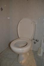 toilet - sphinx, Doe-het-zelf en Bouw, Ophalen, Gebruikt, Steen, Toilet