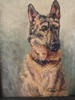 Klein schilderijtje van een herdershond, Utilisé, Enlèvement ou Envoi