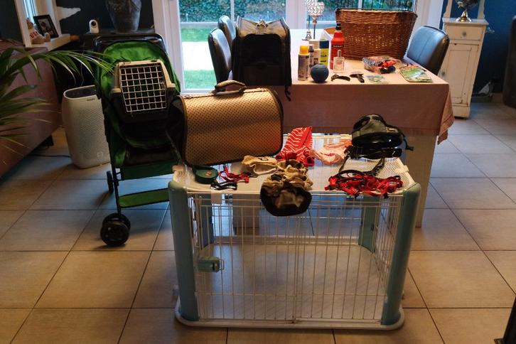 Complete set voor kleine hondjes, Dieren en Toebehoren, Honden-accessoires, Gebruikt, Ophalen