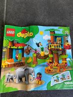 Duplo Wild animals, Ophalen, Zo goed als nieuw, Duplo